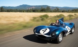 1955 Jaguar D Type — Spectacular!