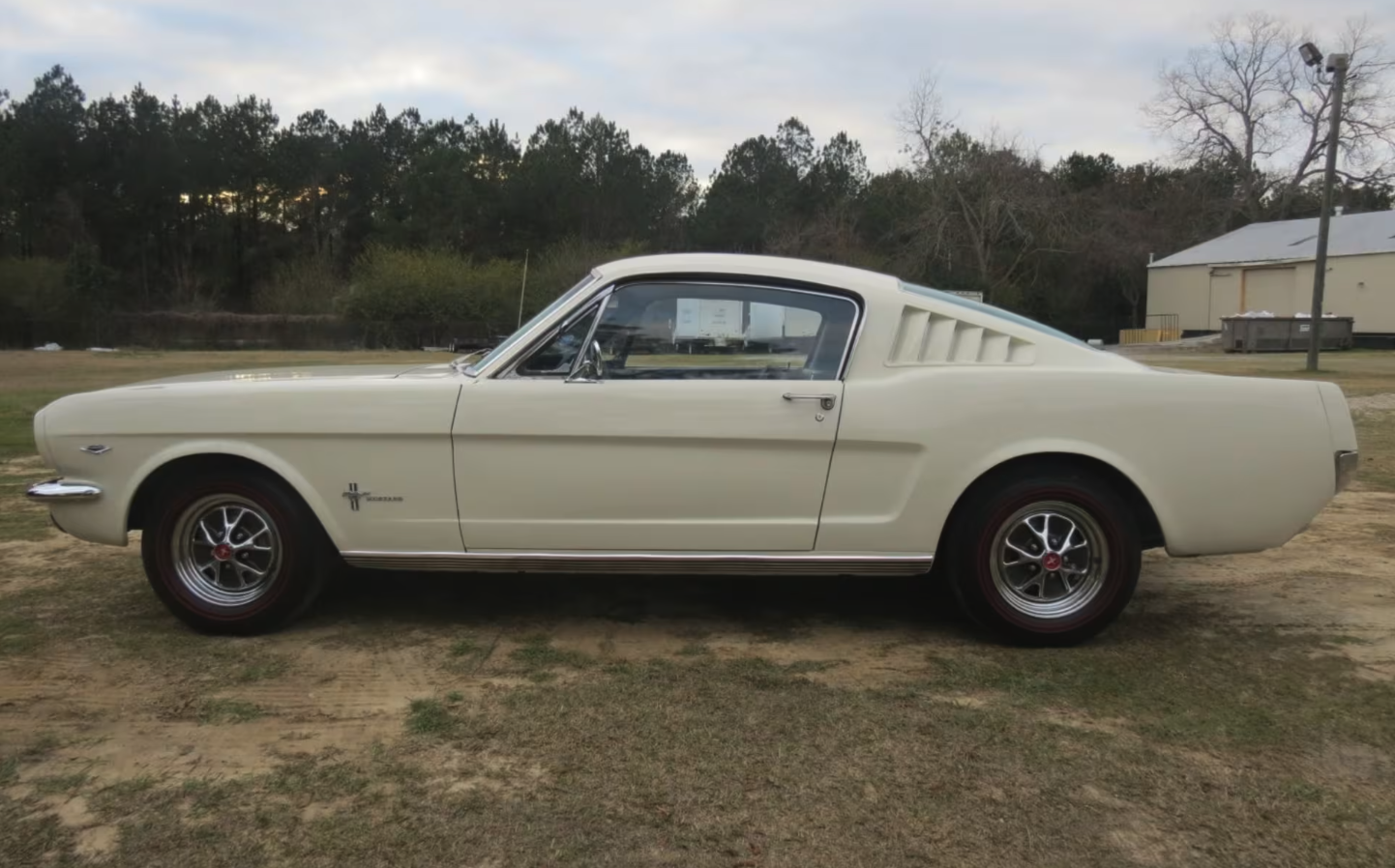 1965 Mustang white side