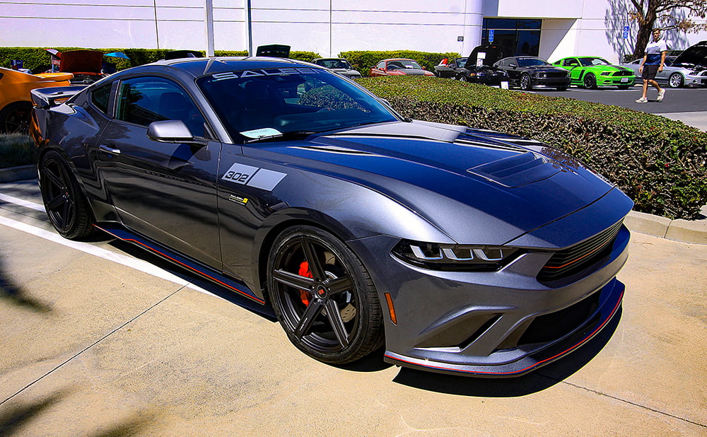 Gray Saleen 302 copy