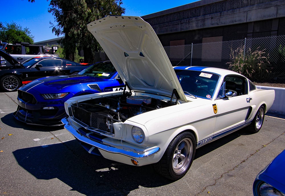 1966 Shelby GT350 and S550 Shelby GT350 Mustang
