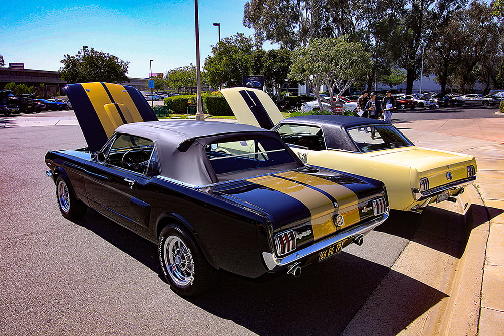 1965 Mustang convertible and Mustang notchback copy