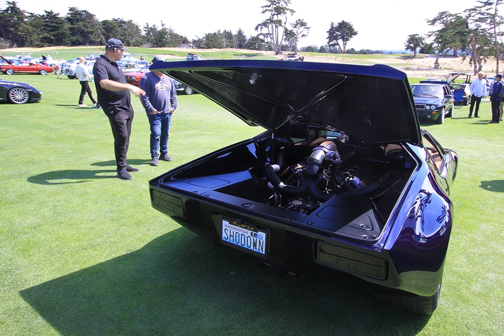 Modified Pantera rear